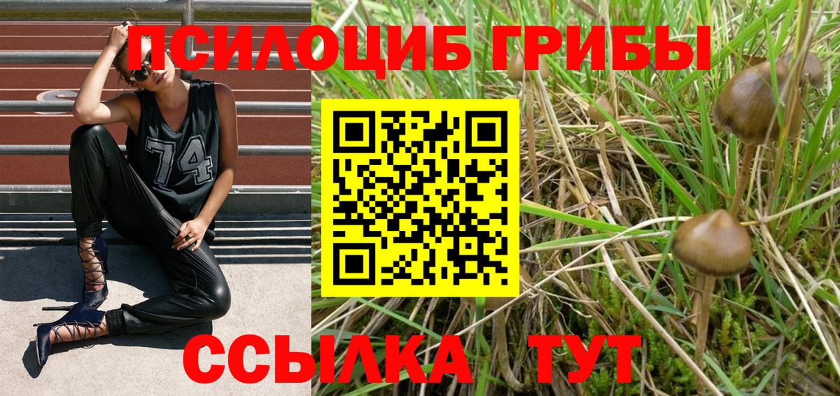 Псилоцибиновые грибы Psilocybine cubensis  Галлюциногенные грибы мухоморы  Вход с VPN  Тейково 